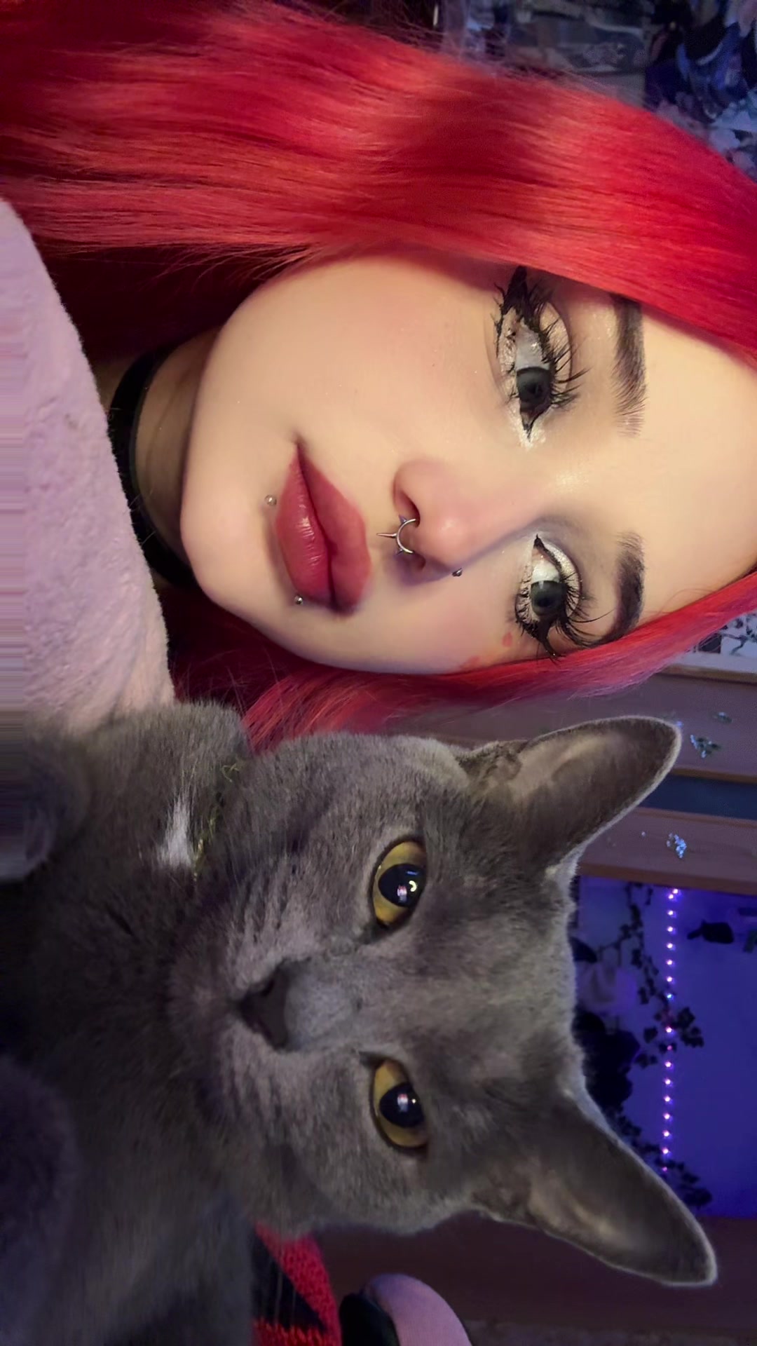 @тгк: BlackSun ее кошачьи будни