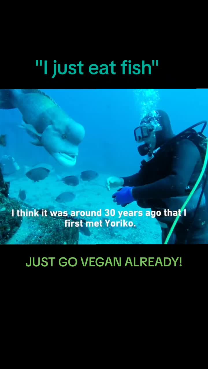 @veganssave