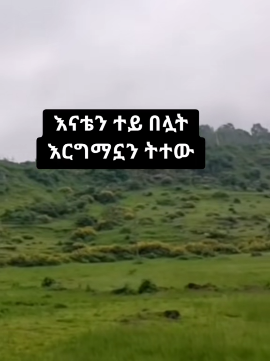 @habesha menzuma