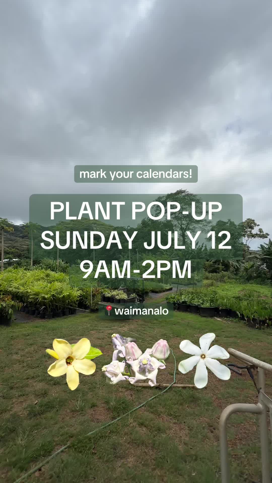 @plantedbymal 🌺