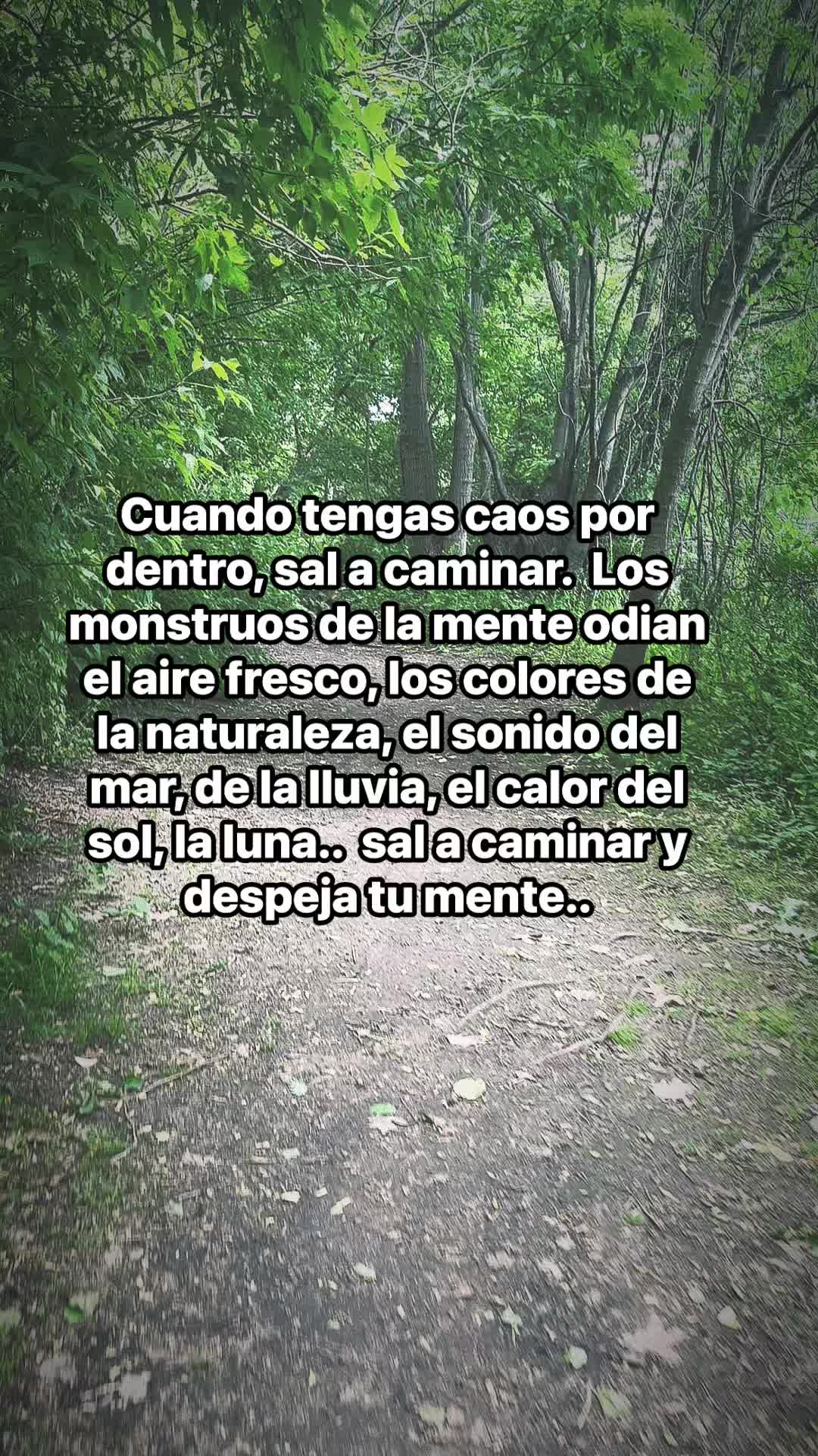 @GSELRIG 🌙🌻🐈⬛