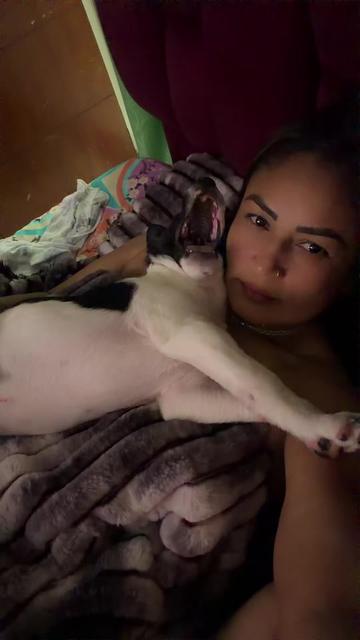 @bichota7088