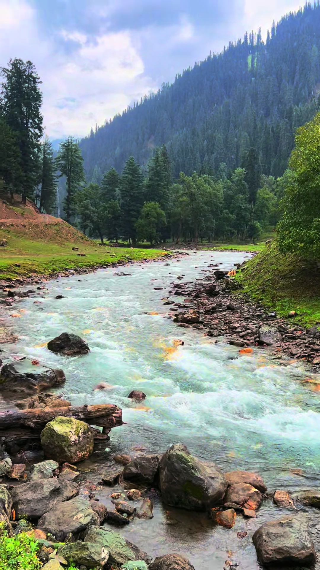 @pakistan_____beauty