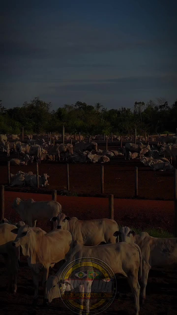 @gurizada_da_agropecuária