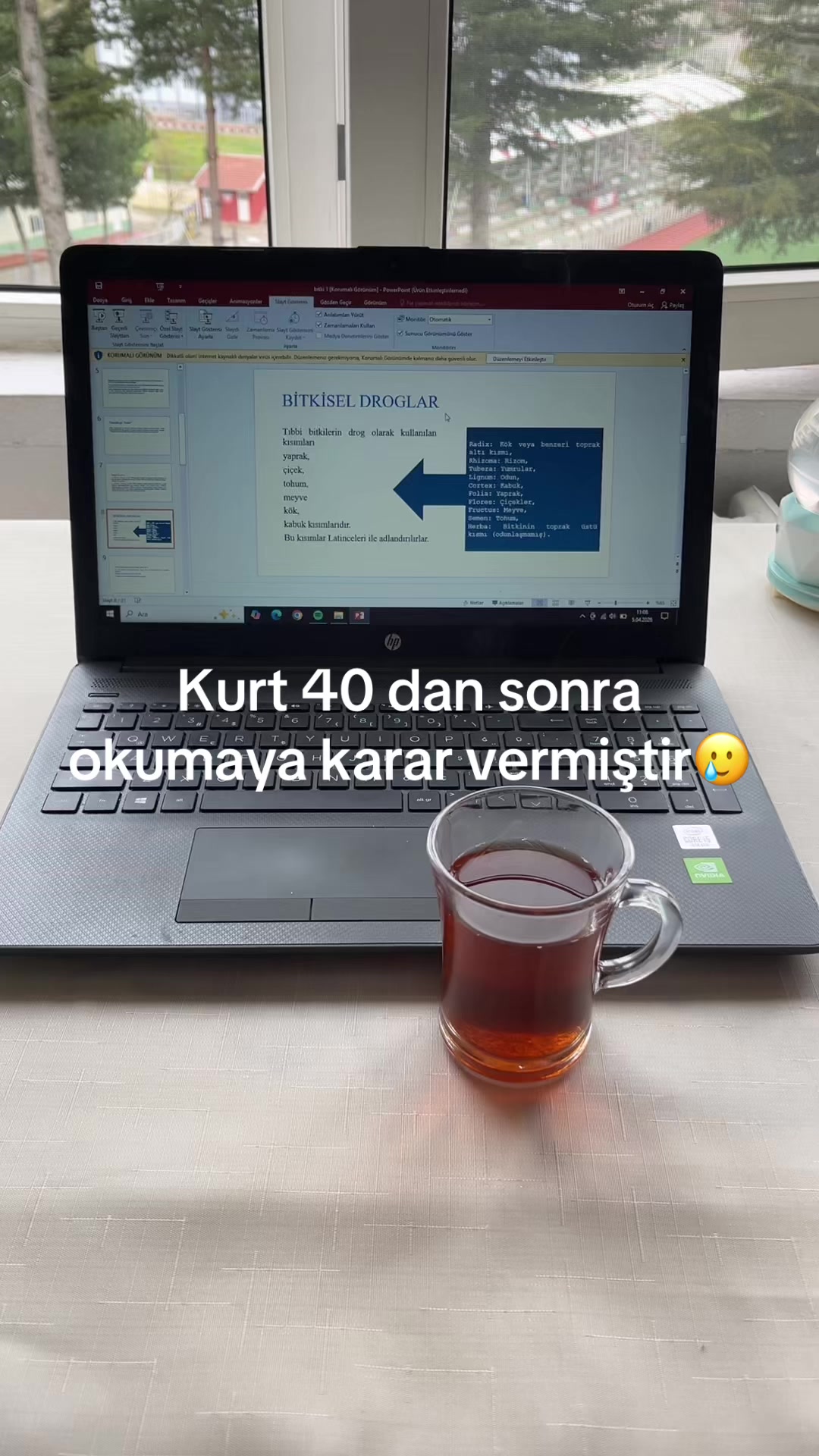 @ayse43