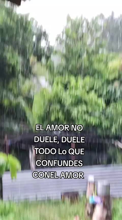 @Daniela504🤝