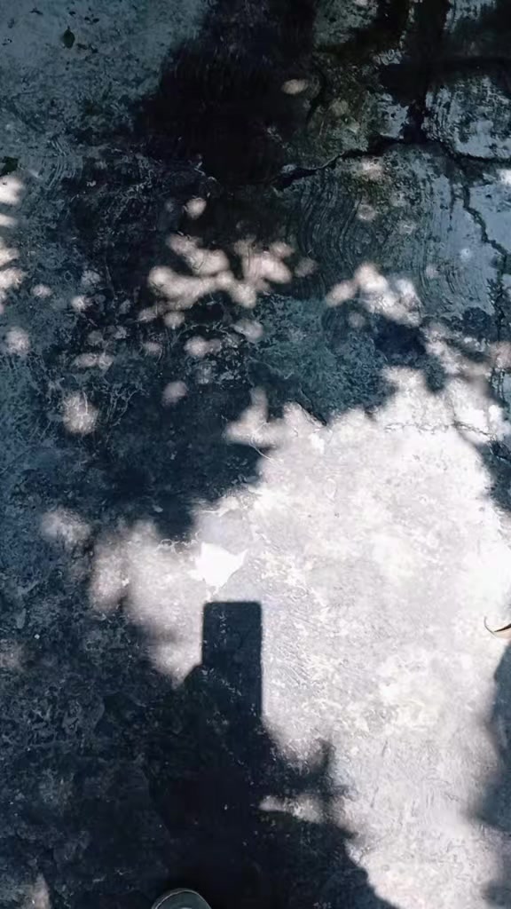 @~Ale~