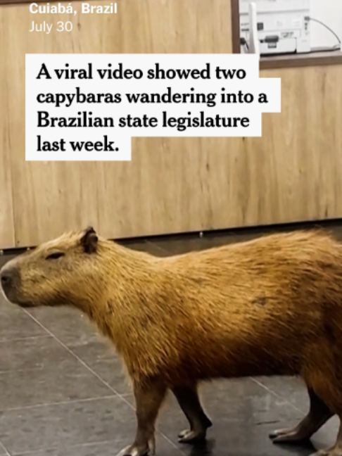 @The New York Times