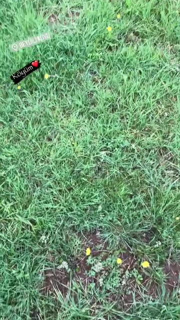 @🌼Çiçek🌼