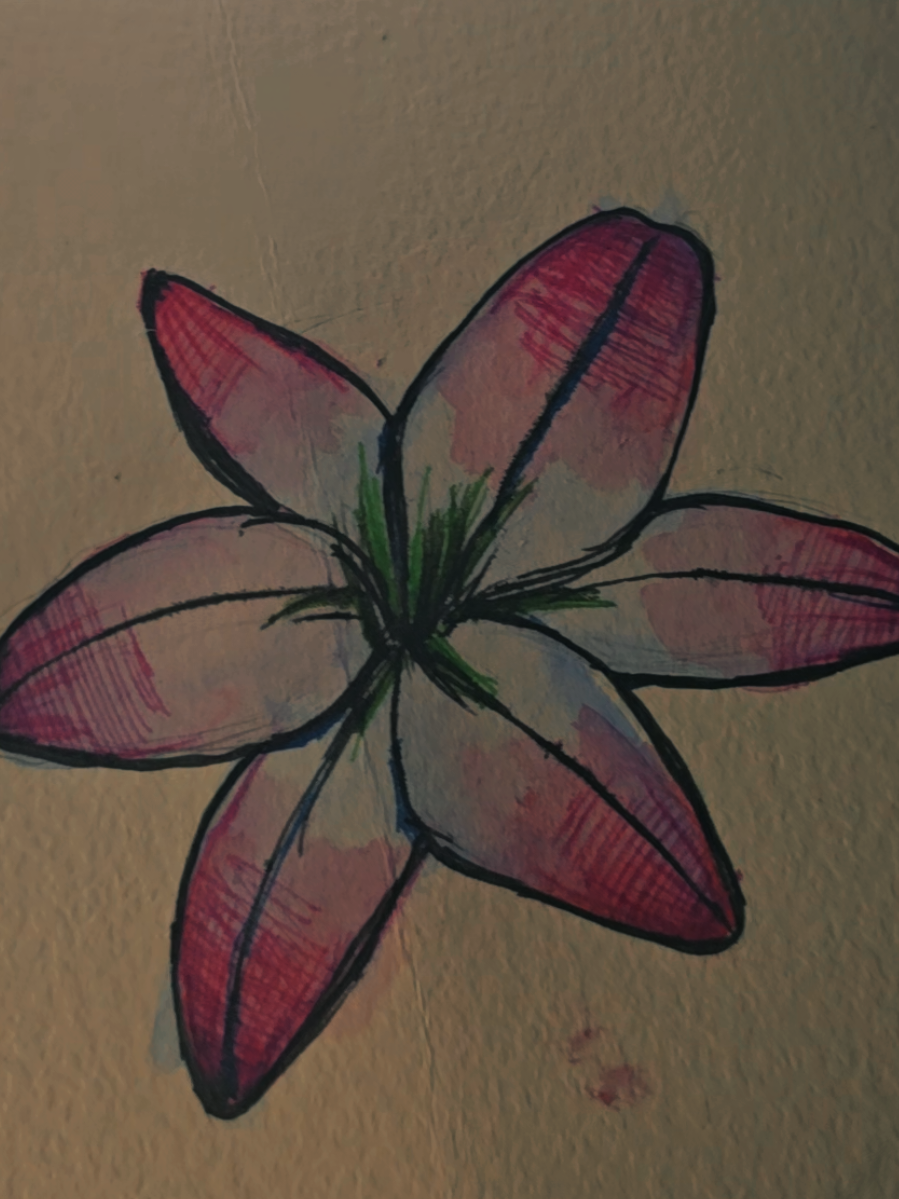 @💖✨️🎨Jandradoesartss🎨✨️💖