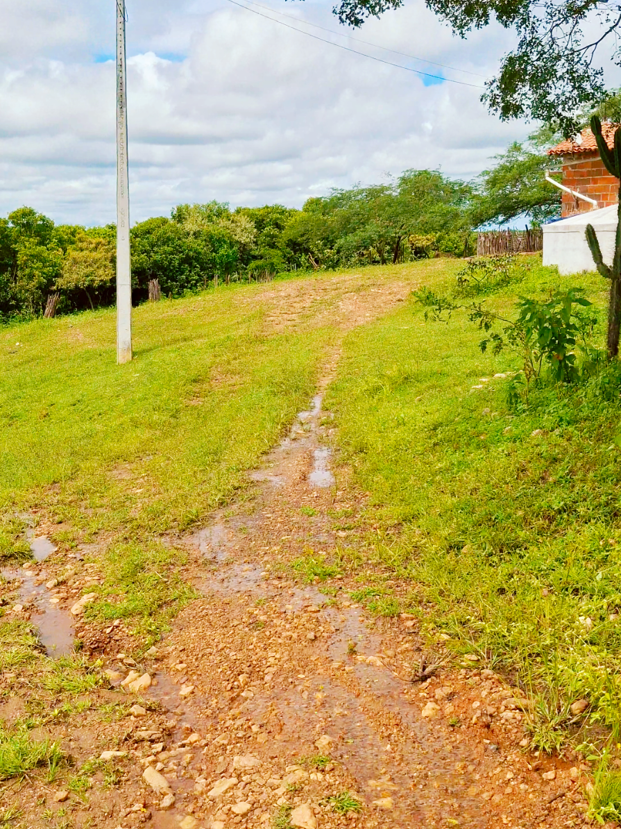 @Coisas Do Meu Sertão19