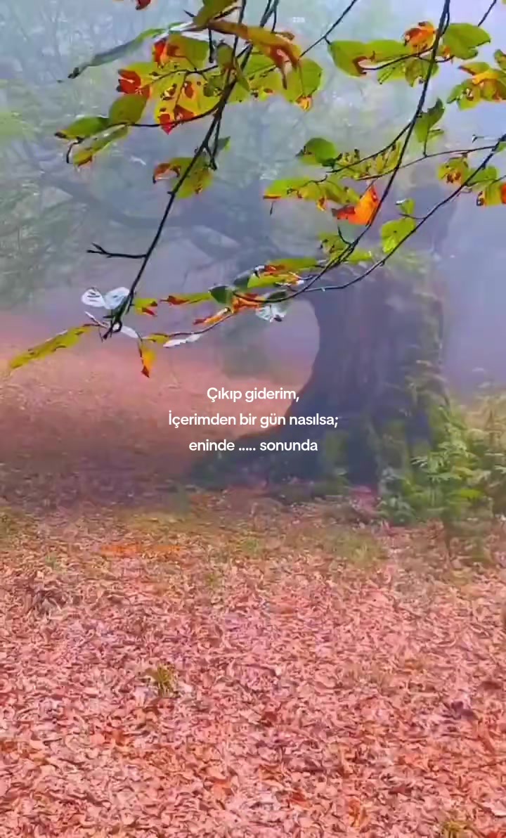 @kyplrdym