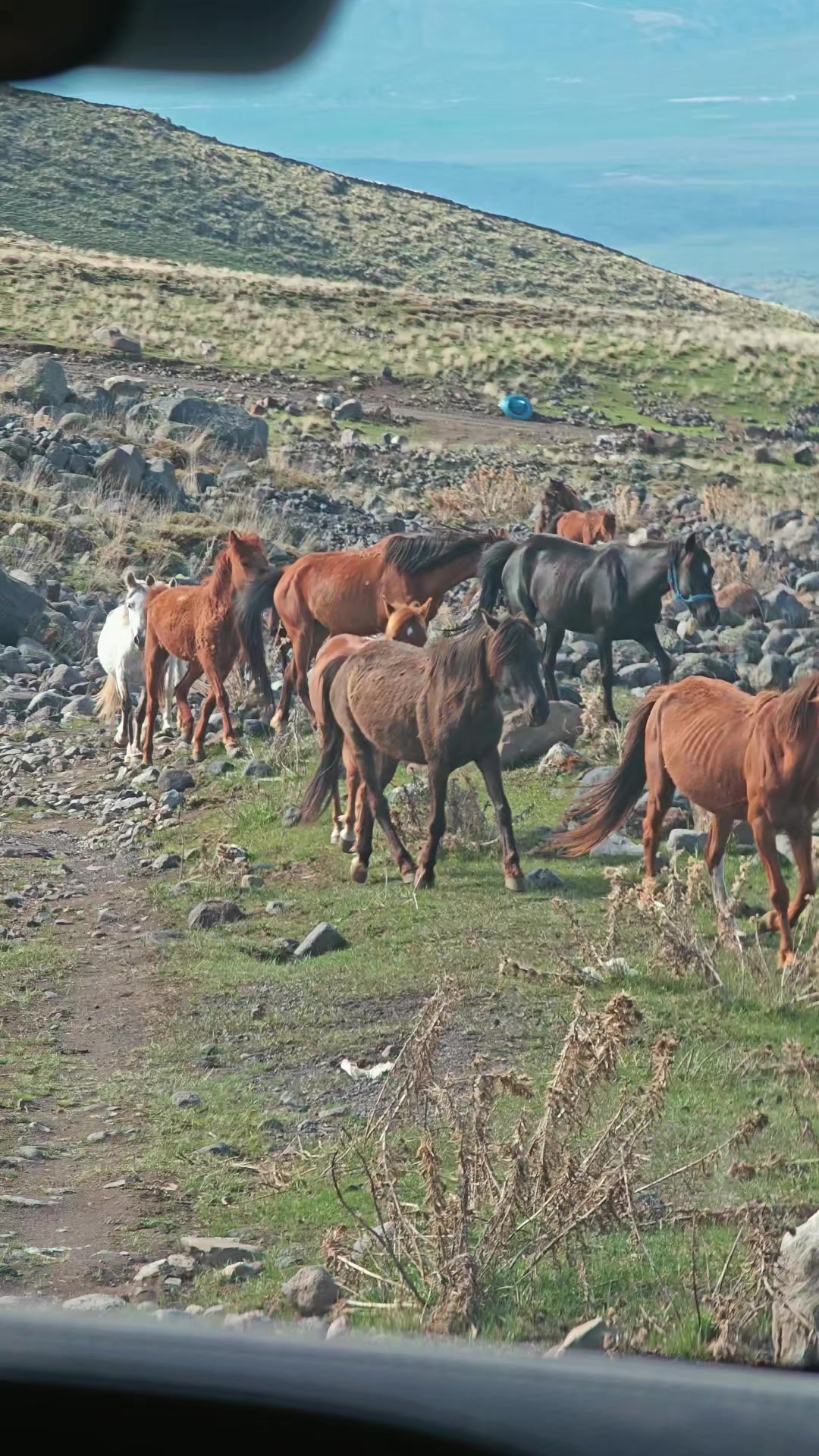 @Bır&uuml;sk derler