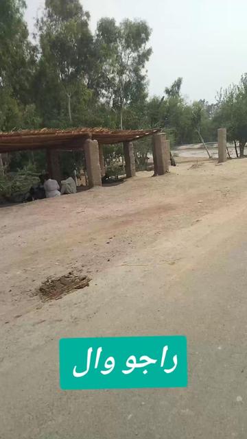 @🍁📱حجرہ شاہ مقیم 🌟🇵🇰