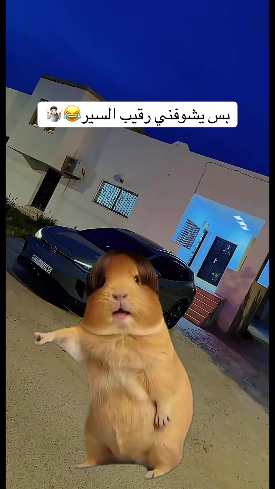 @﮼محمود ﮼الخالد🩵🐅