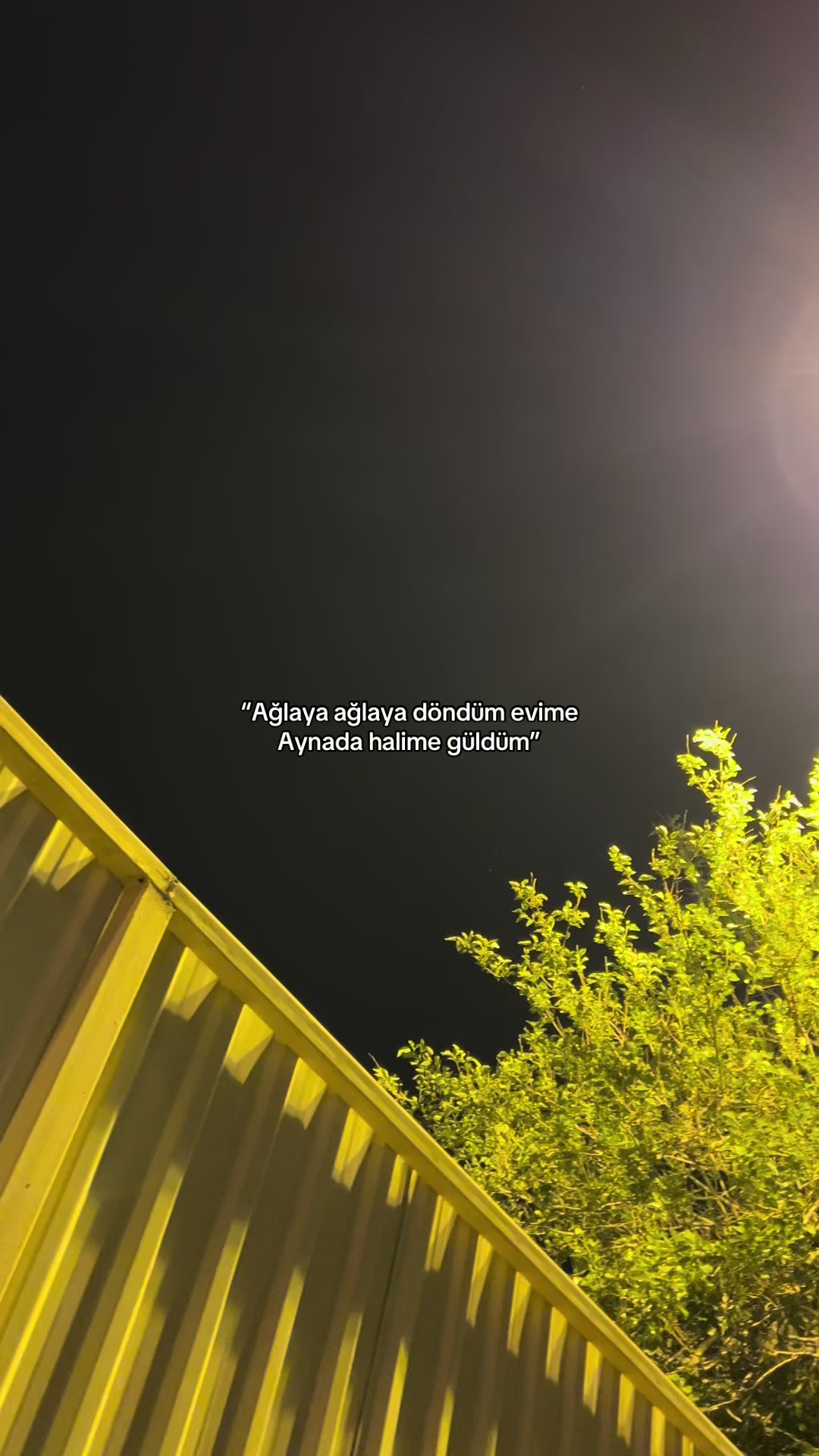 @𝓣.𝓐