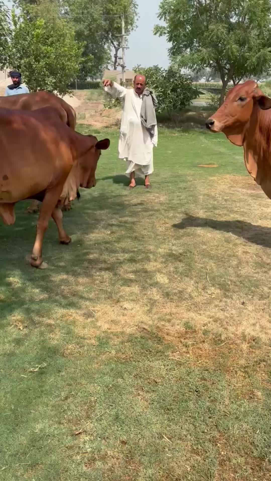 @Syed Asad Rizvi
