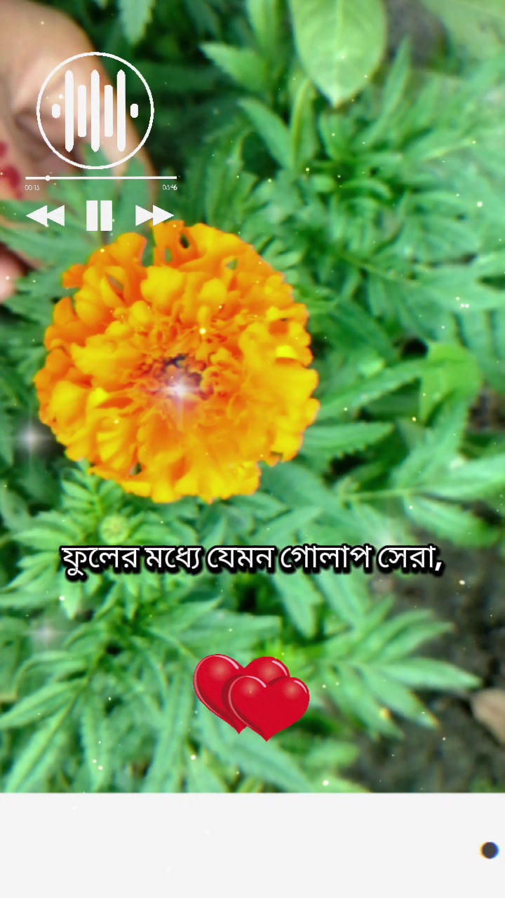 @❤️আয়ানের আম্মু❤️