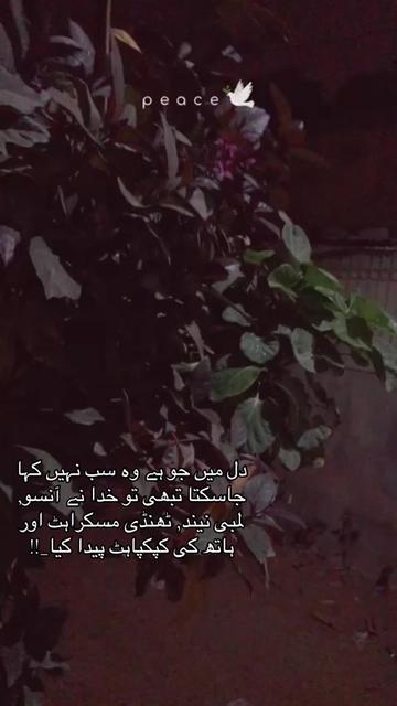 @รɦ&alpha;ɓɳ&alpha;ɱ ƭ&sigma;&micro;ร&epsilon;&epsilon;&fnof;