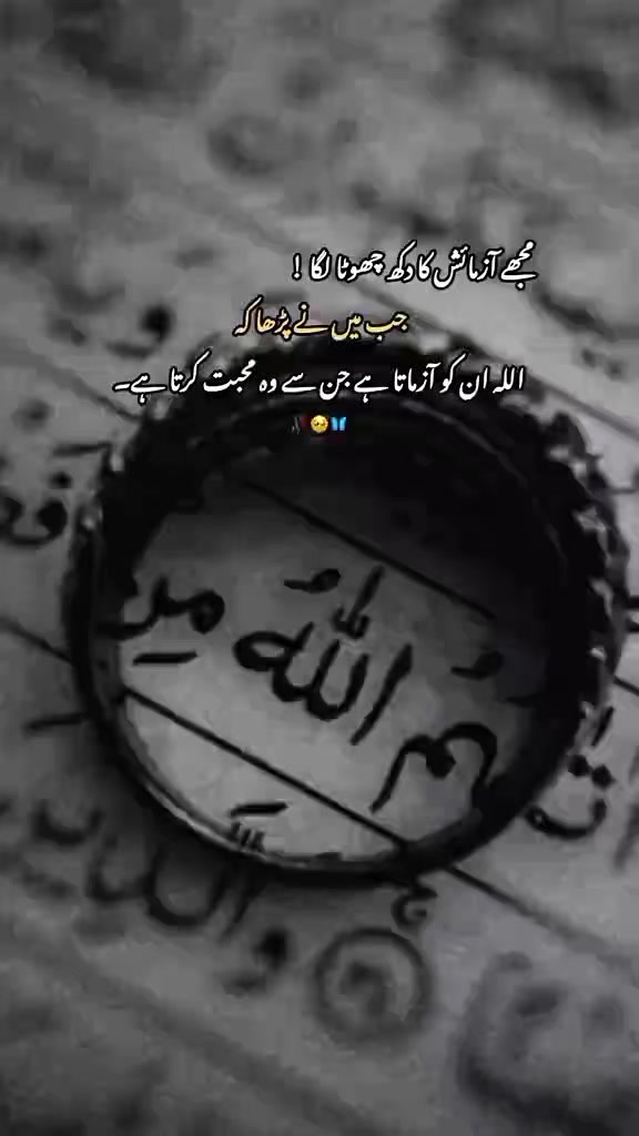@Haider Ali 💯💯💯