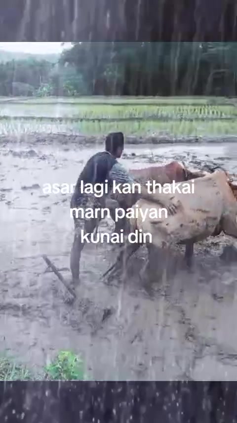 @Pradip Khatri