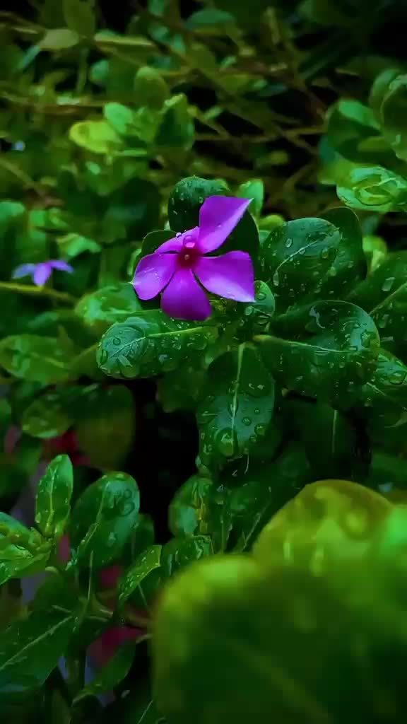 @lathamuthukrshnan6