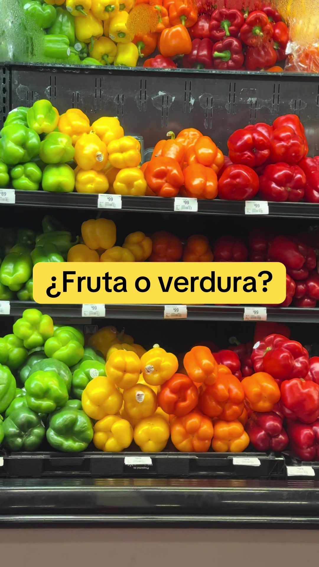 @ELENKA SPANISH LESSONS