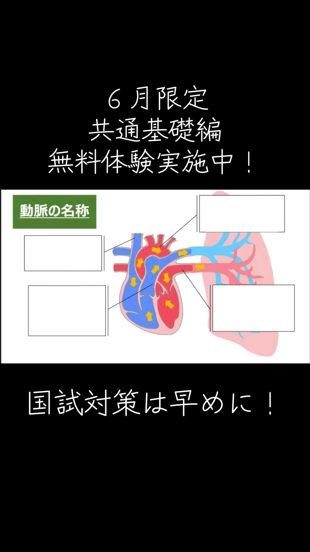 @第62回理学療法士国家試験(ネクストリハアカデミー)