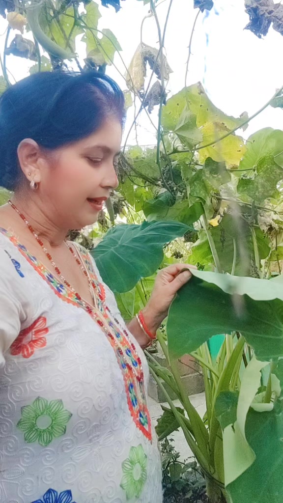 @shantisubedi905