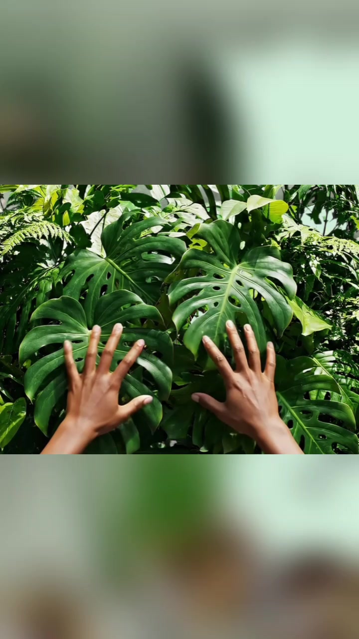 @TikTok Medley
