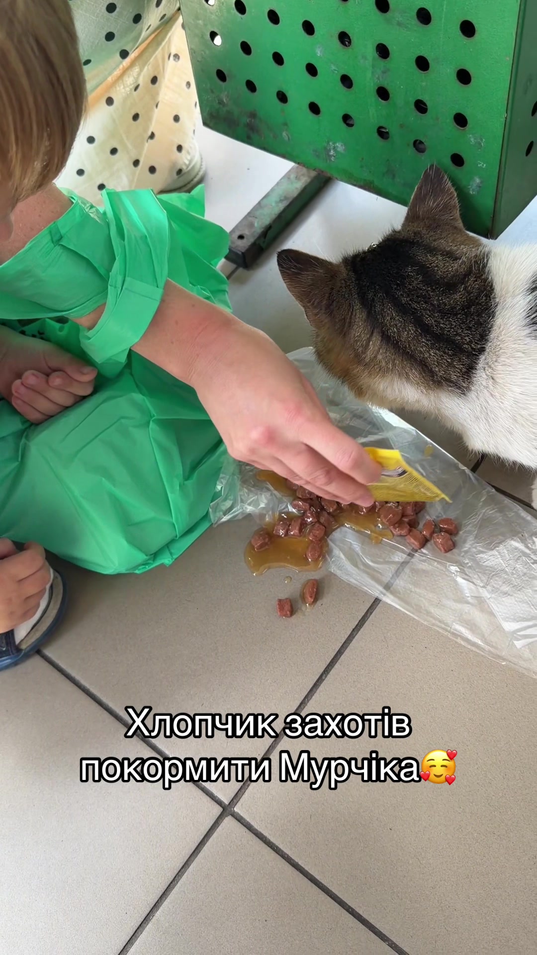 @Магазин «Авокадо» and Мурчік🐱