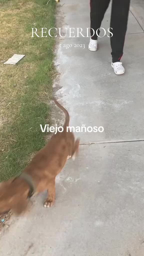 @Jazmin Nieves Rodr&iacute;g
