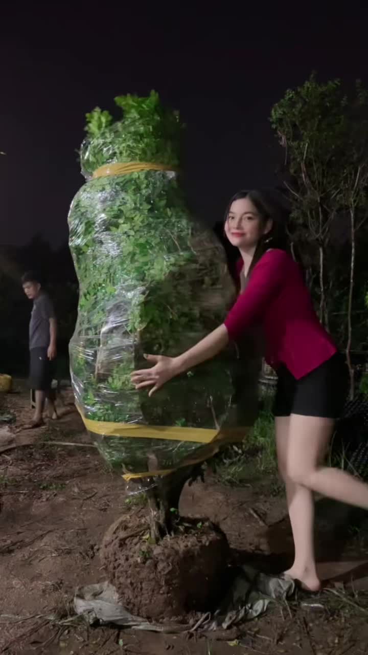 @Khổng La