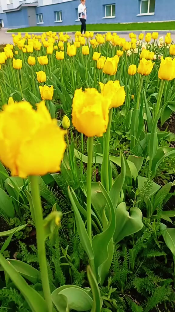 @Марина 🌺🍃
