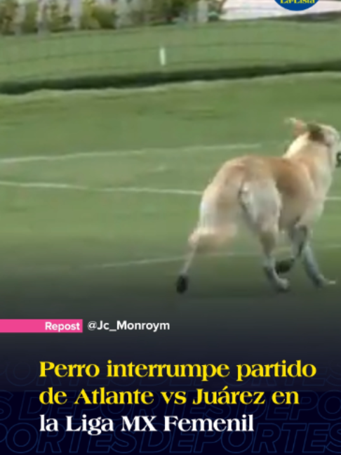 @La-Lista Deportes