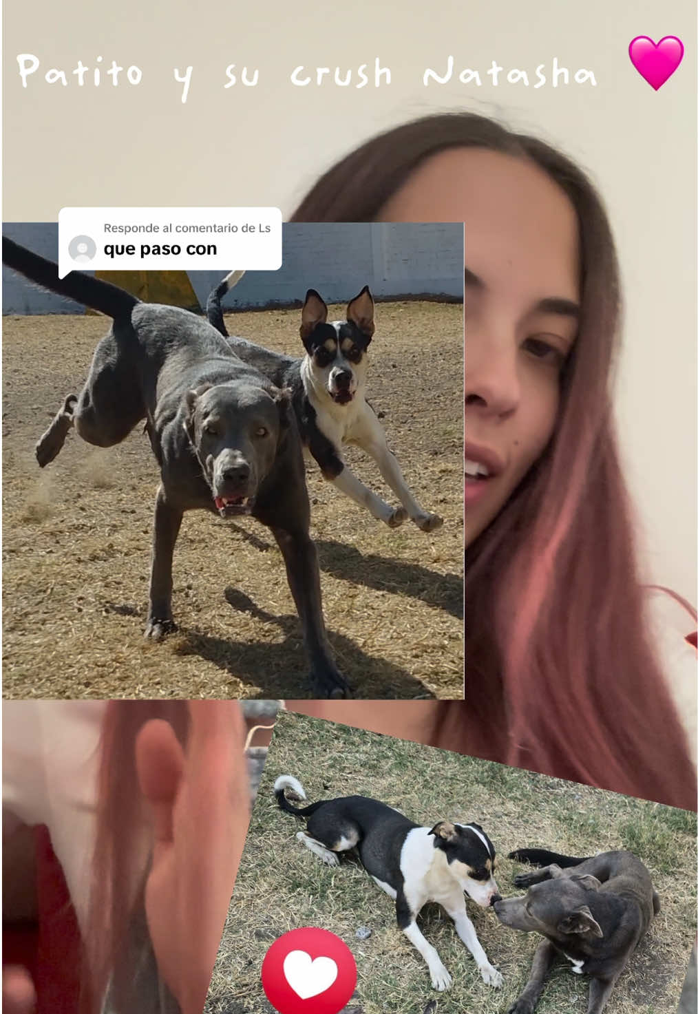 @lanutri.dogmom