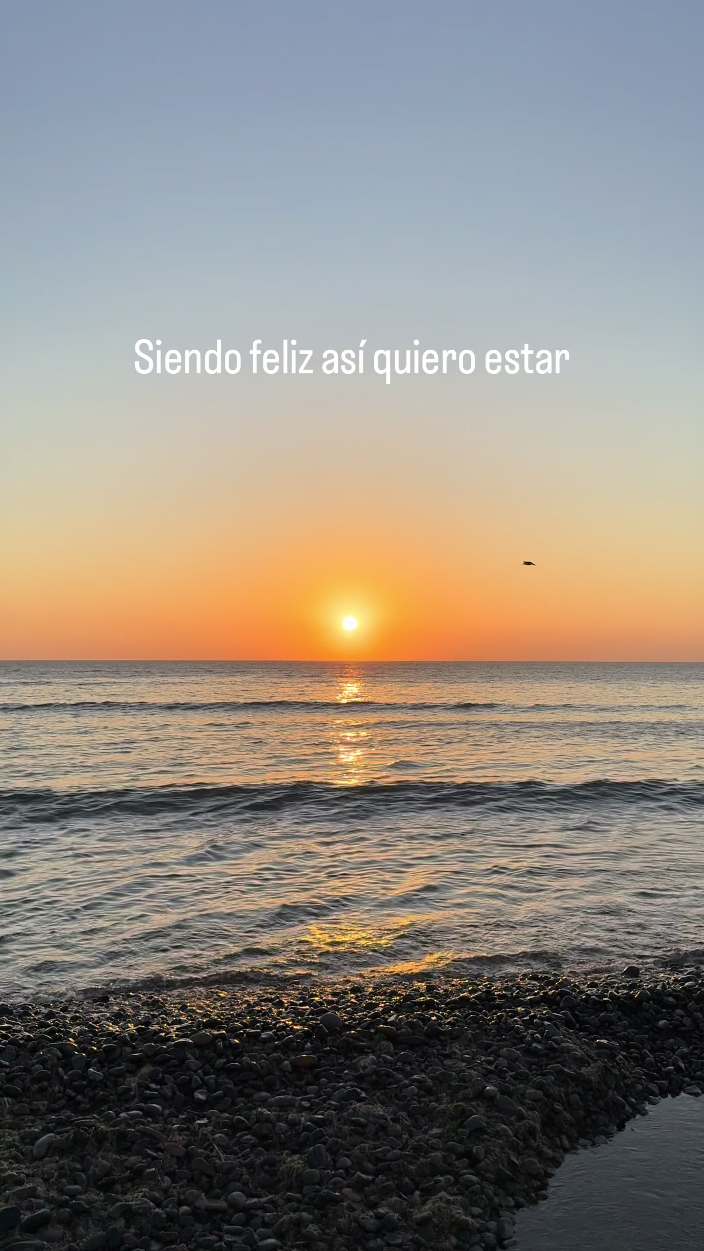 @EL PADRE TIKTOKER