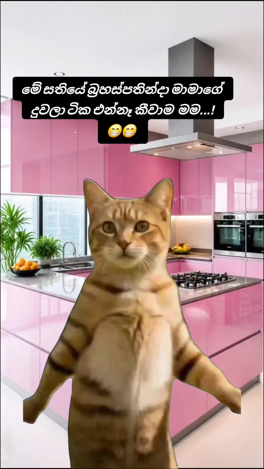 @꧁💓🌸 සිතු✾𝄟͜ 🌸💓 සිතු✾𝄟͜ ꧂
