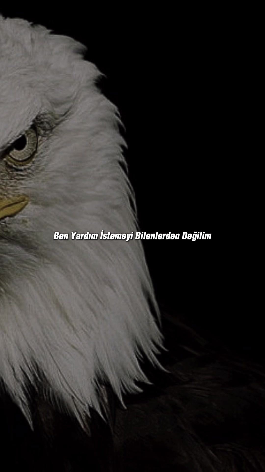 @burakuyar