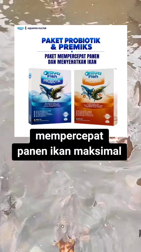 @vieagnur