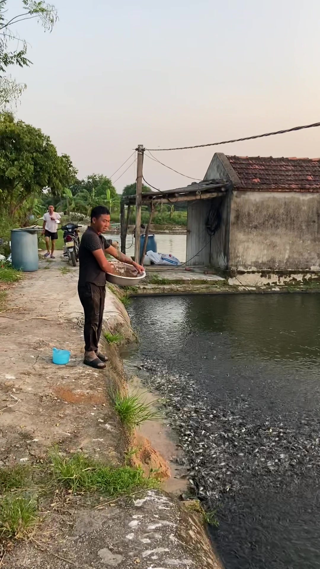 @Trại Cá Giống Quang Lâm