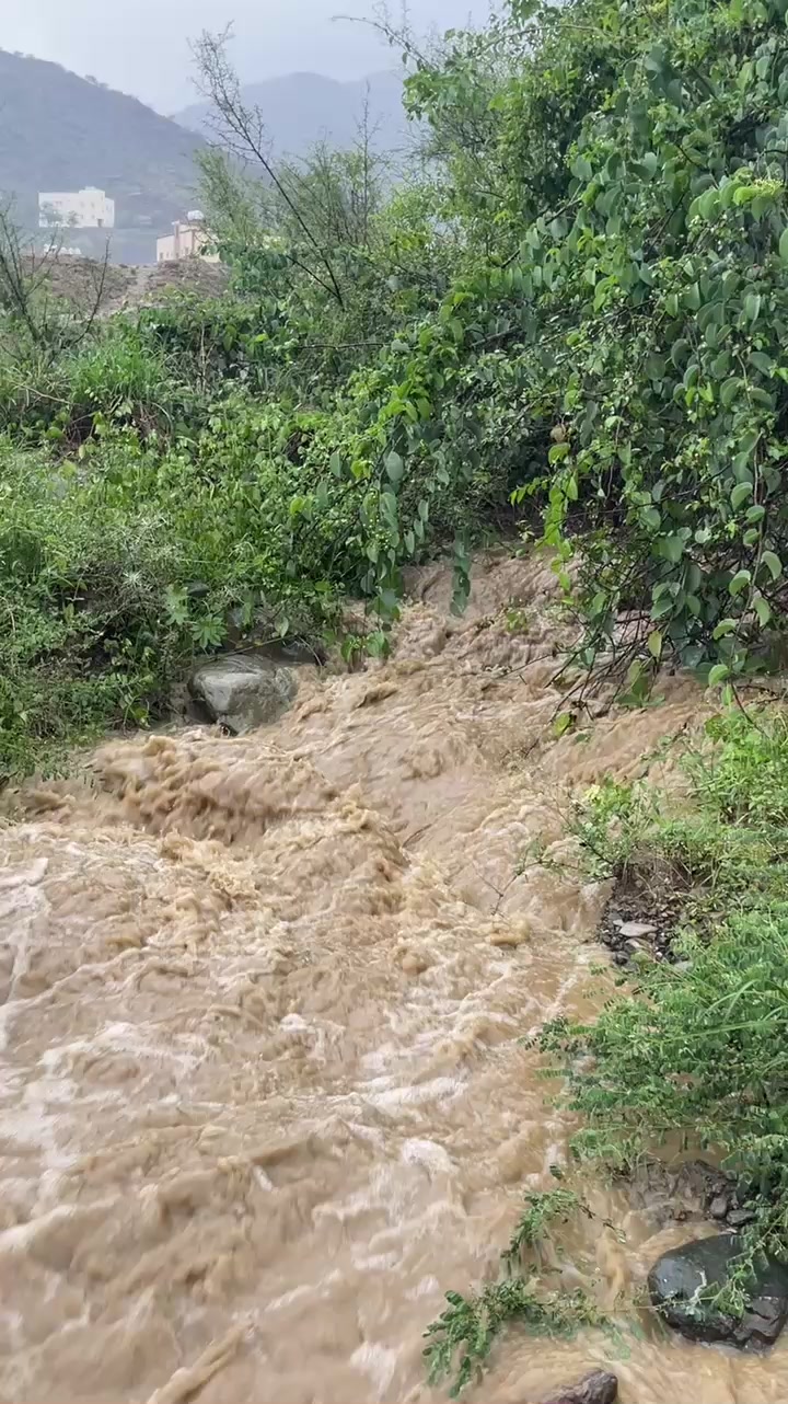 @آبووسآم برق آلَساحل⚡️⛈️