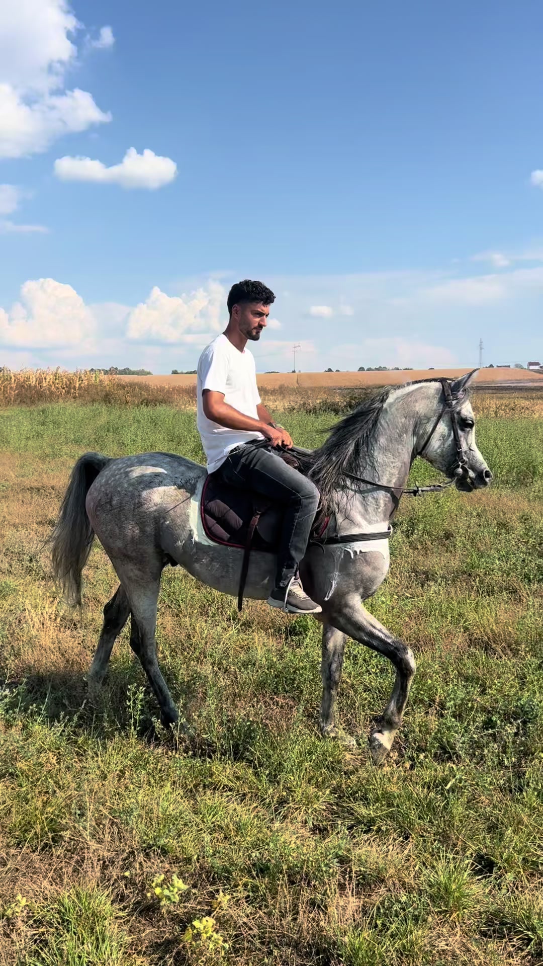 @BERTI RANCH 🐎