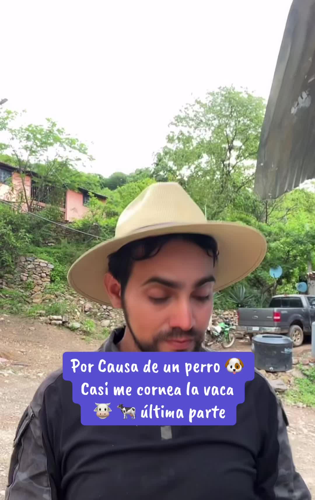 @marthahdos 🐮