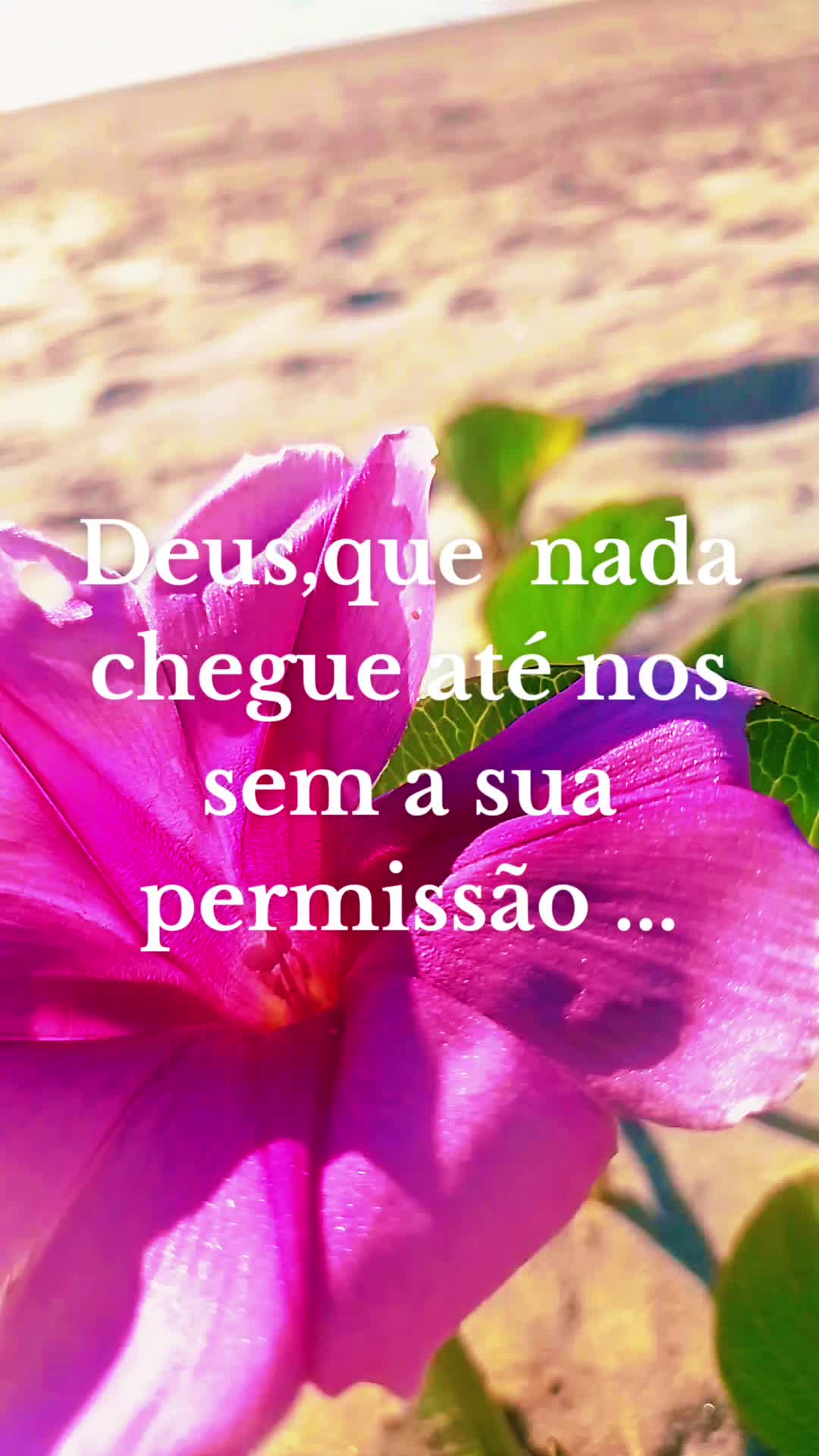 @Sonia cordeiro