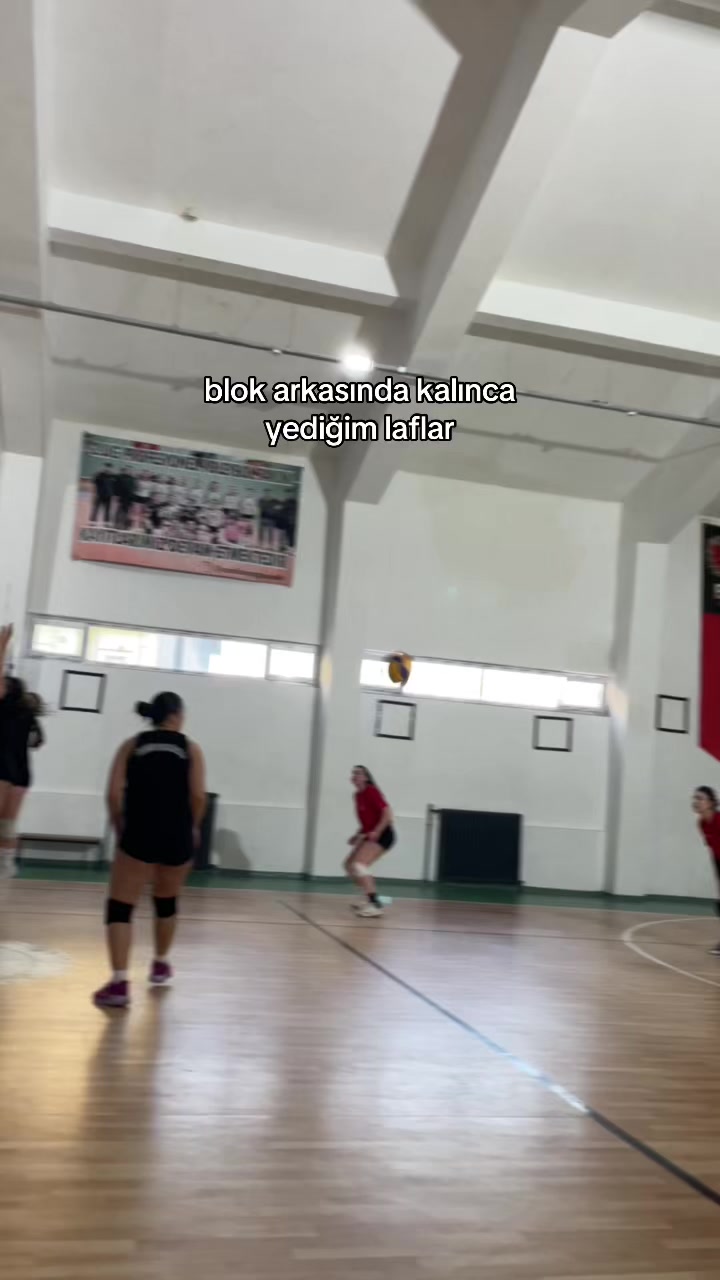 @rabisss