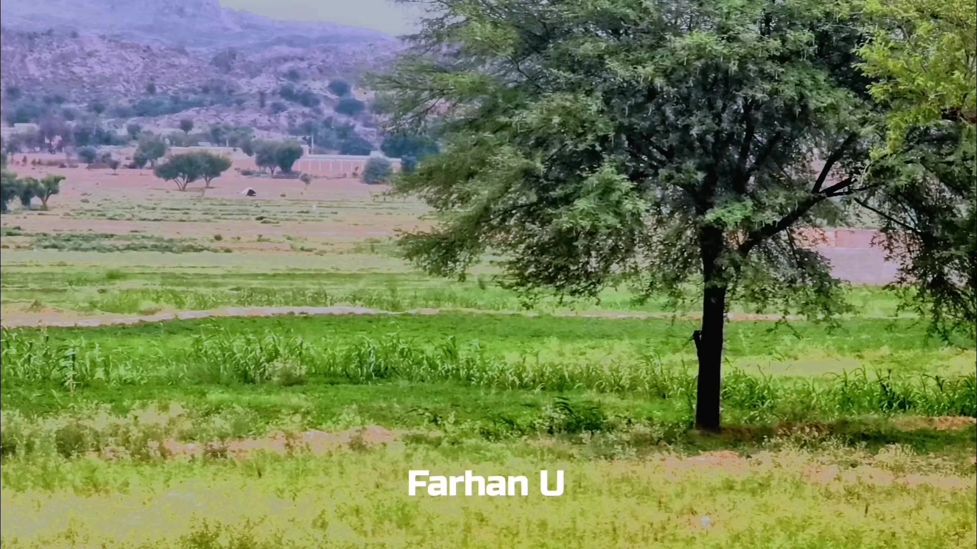 @Farhan U