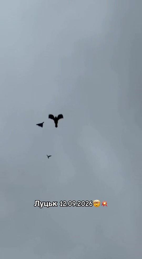 @Volynblog | Луцьк | Ковель