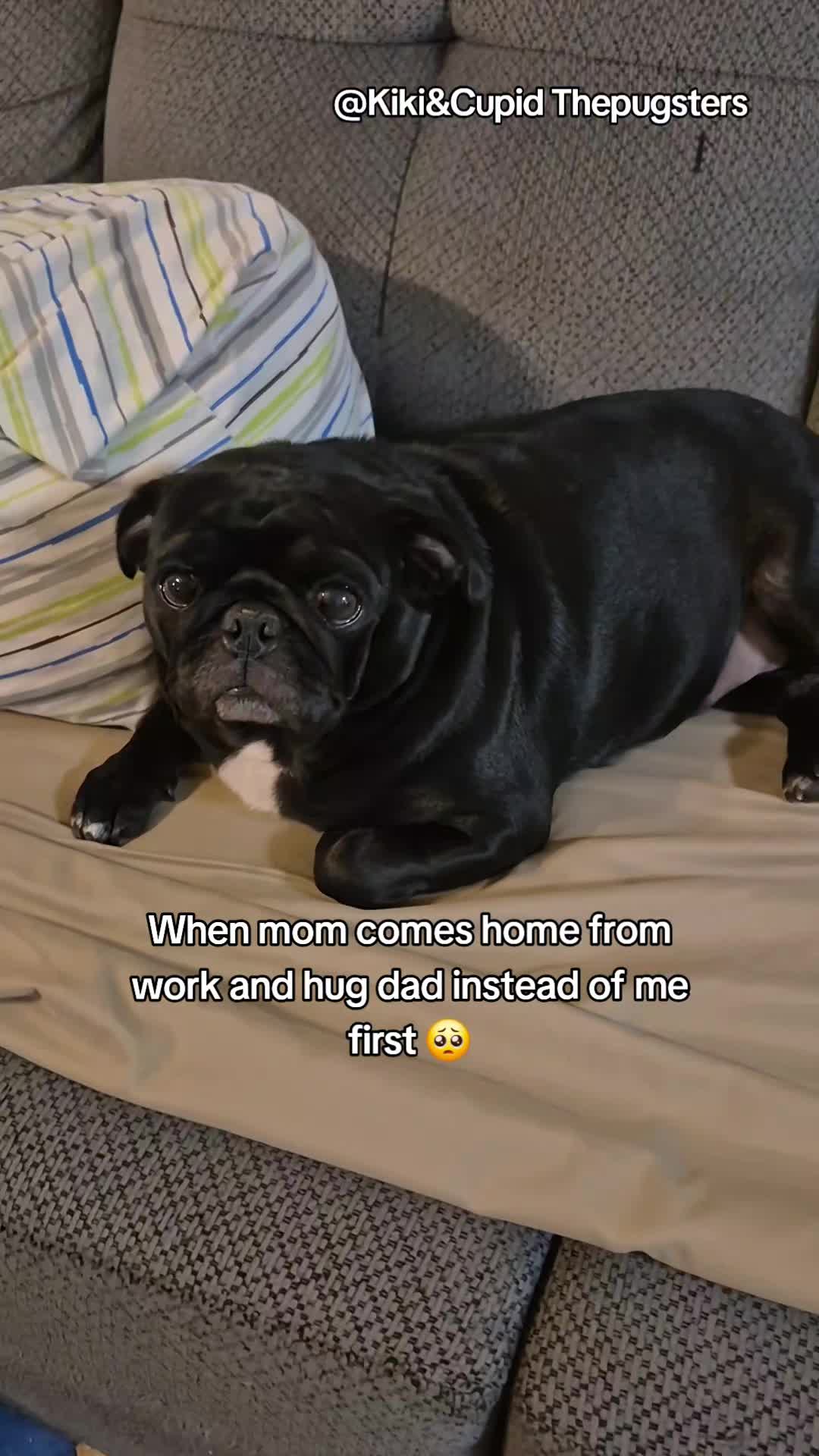@Kiki&Cupid Thepugster