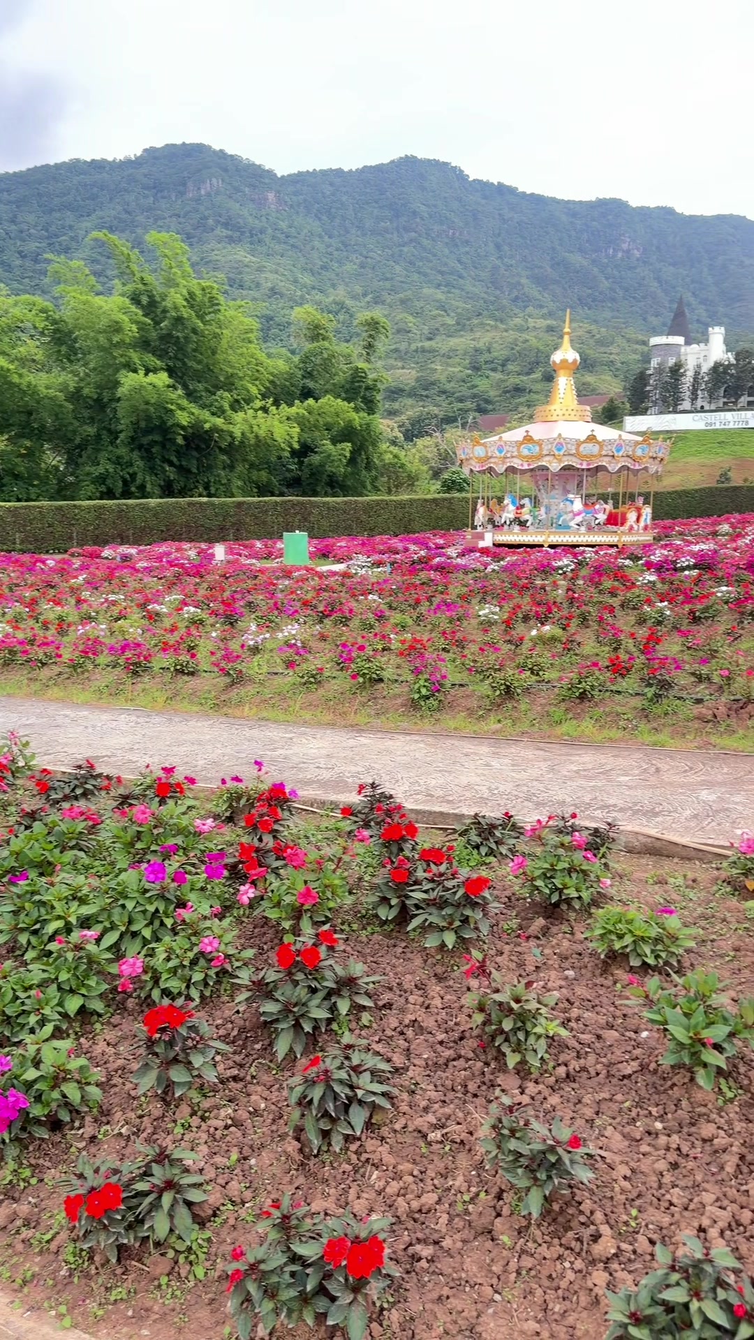 @ยายธร 456